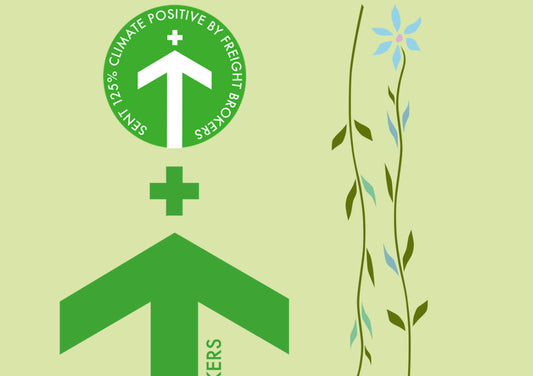 Saywood is Now Shipping 125% Climate Positive with Freight Brokers-Saywood-Studio-Ethical-Sustainable-Womens-Clothing-UK
