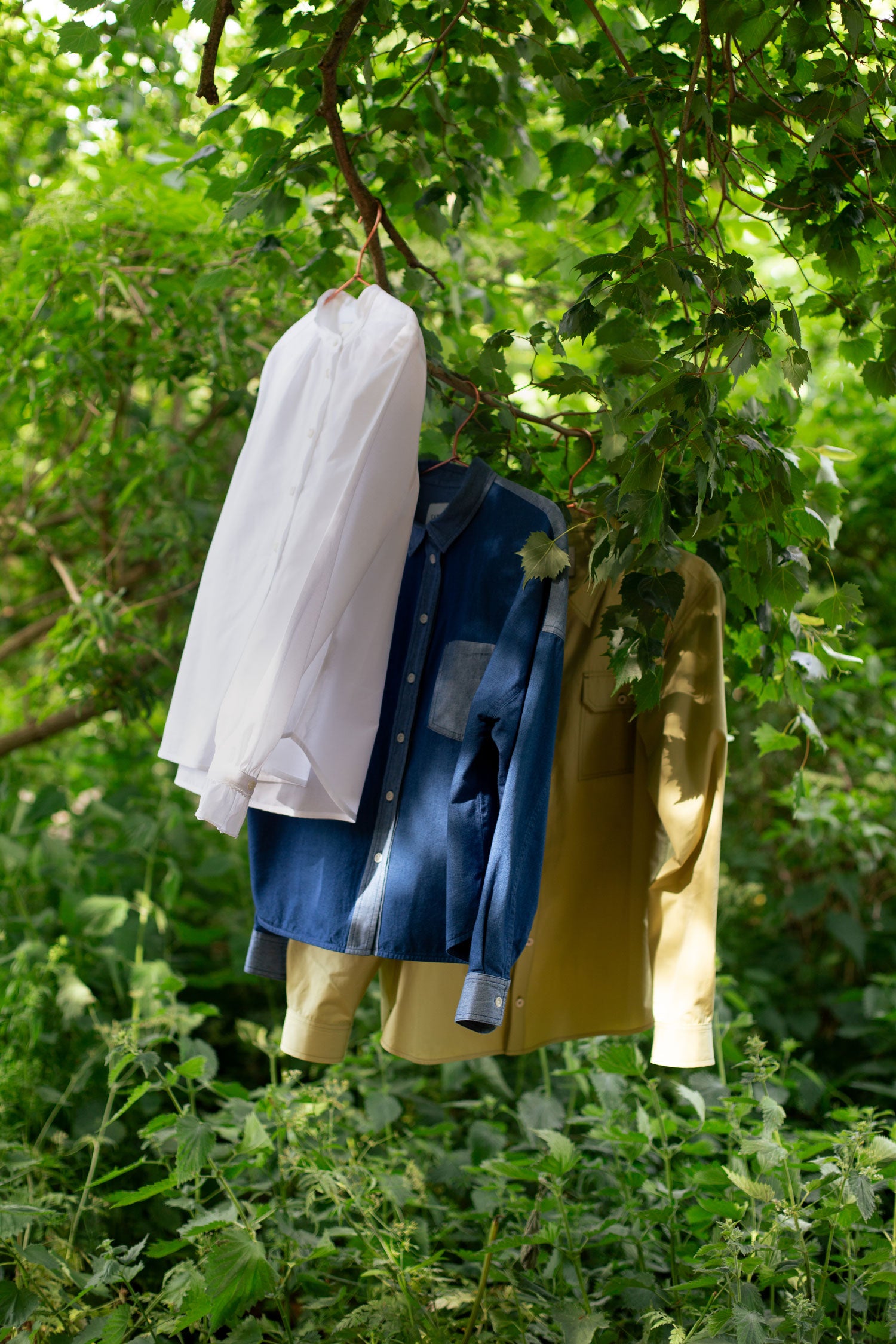 Image shows Saywood shirts in white, denim and olive, hanging from a tree branch, blowing in the breeze. Trees and greenery surround the clothes.