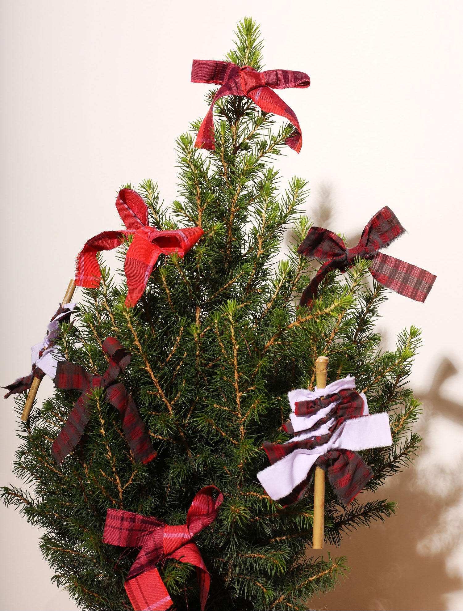 Small Christmas tree with decorative ribbons and Christmas Tree decorations on a plain background