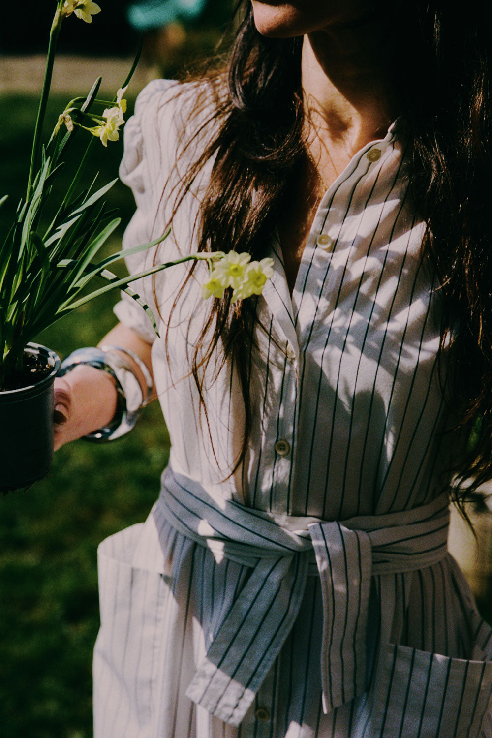 Close up of a woman standing in a garden holding a daffodil plant. She is wearing Saywood's white cotton pinstripe Rosa Puff Sleeve Shirtdress with the tie belt tied round her waist, with the patch pockets just seen in the bottom of the image. She has silver bangles on her wrists and wears her hair down.