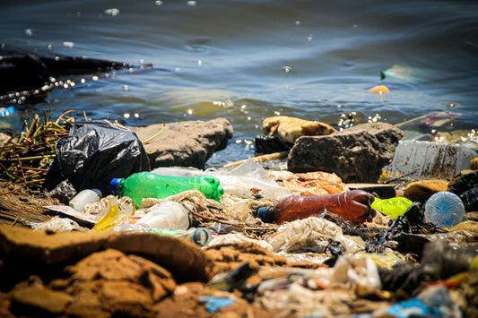 Plastic bottles can be seen littered about in the water and on land, plastic waste, plastic pollution