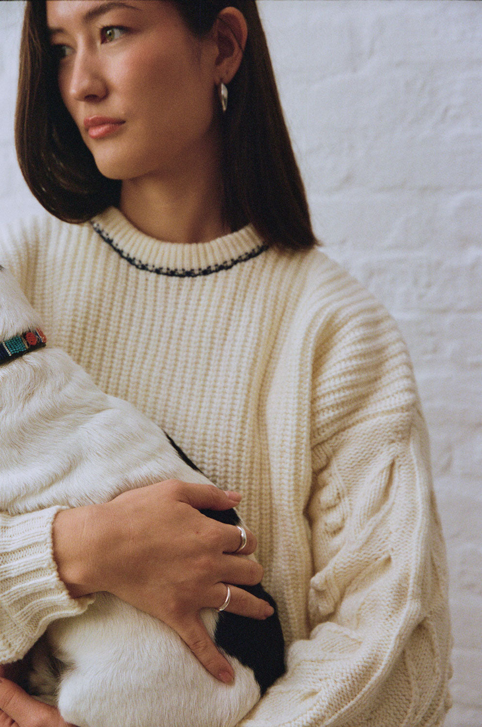Adams cream sweater showing dark contrast stitching around the ribbed crew neckline and textured sleeve detail, worn by a model holding a small dog.