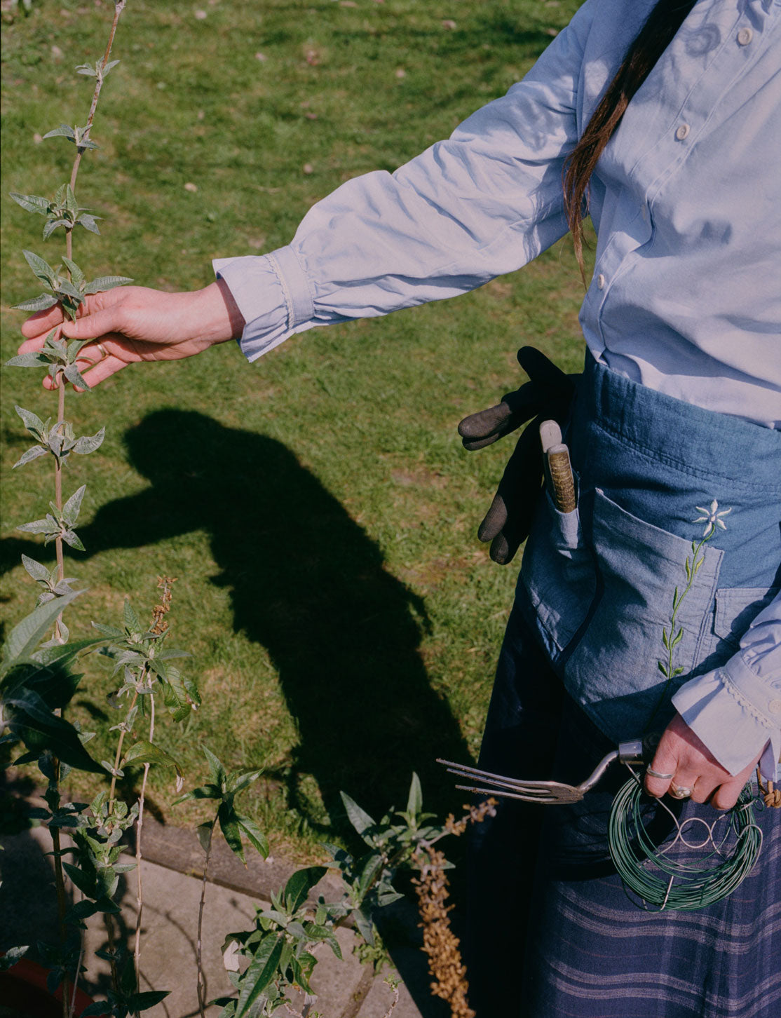 A woman is gardening, reaching out and touching a plant. She is wearing the Japanese Denim Multifunctional Garden Tool Belt Apron with gloves and a pair of secateurs in the pockets. The embroidered flower can be seen on the pocket. She wears Saywood's Marie pale blue Blouse with frill cuffs, and the navy check Amelia Trousers. She is holding a garden fork and green wire.
