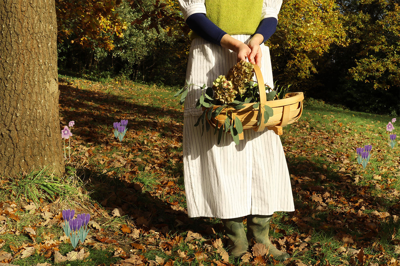 A woman stands by a tree in a field holding a wooden garden trug. She is wearing Saywood's white pinstripe cotton Rosa Dress with ruffles on the pockets, with a green knitted vest and navy long sleeve top underneath. Hand drawn flowers scatter the ground.