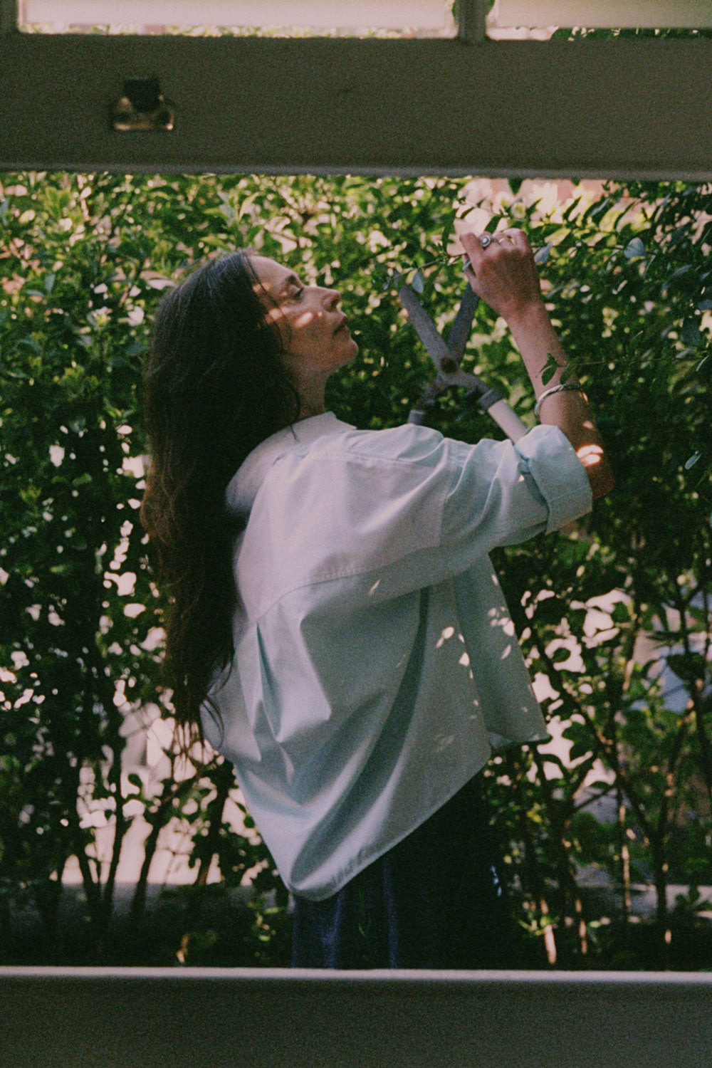 A woman is standing outside by tall green hedges, with the camera looking through an open sash window. She is holding hedge clippers and reaching for the leaves of the hedge. She is wearing Saywood's Lela Colourblock Boxy Shirt in green and blue pastel, with her sleeves rolled up. Worn with the Amelia Wide Leg Trousers in Japanese Denim.
